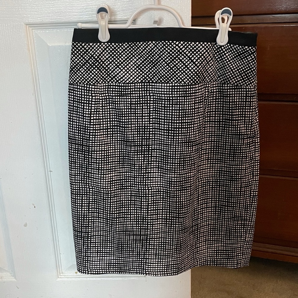 Express Pencil Skirt